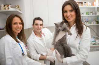 veterinary technician emergency care
