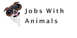 jobs with animals