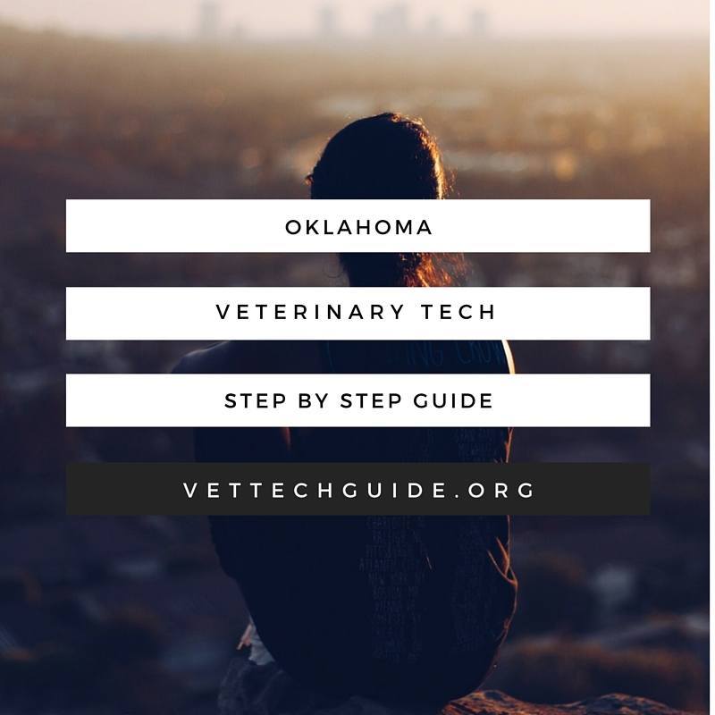 Steps to becoming a vet tech in Oklahoma.