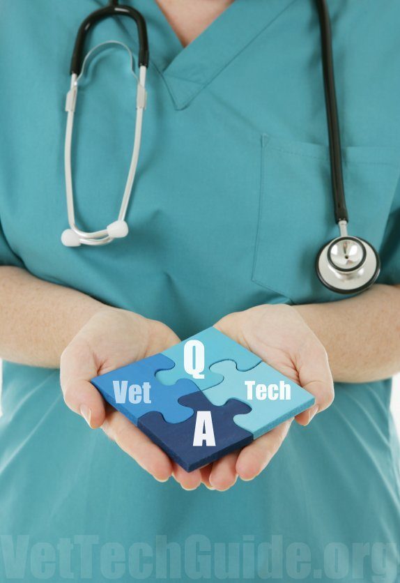 vet tech questions and answers